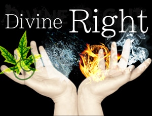 �ڣ�����ǥ����꡼���̡ۥǥ��������󡦥饤�ȡ��ҡ����(R)