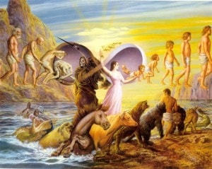 �ڱ�֤Τߡۥ��ꥢ���ࡼ�����ȥ��ƥ�����Φ(�������)