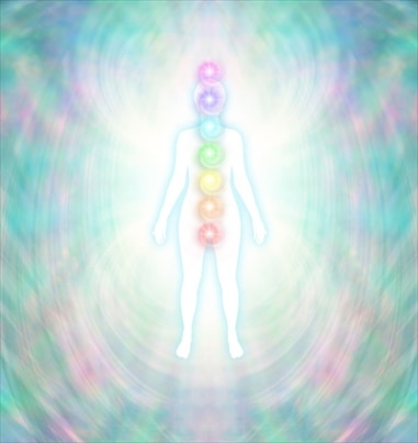 �ڱ�֤Τߡ�1�ġۥǥ��������󡦥������ץ������