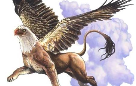 ����ե��� - ���å�� -