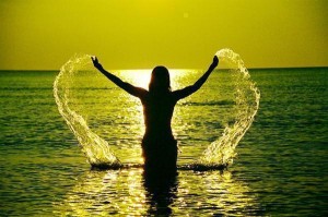 �ڱ�֡ۥǥ��������󡦥ե꡼����