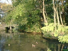 ���̾���������ɹ����ҡ����¡��ѥ���ݥåȥ��