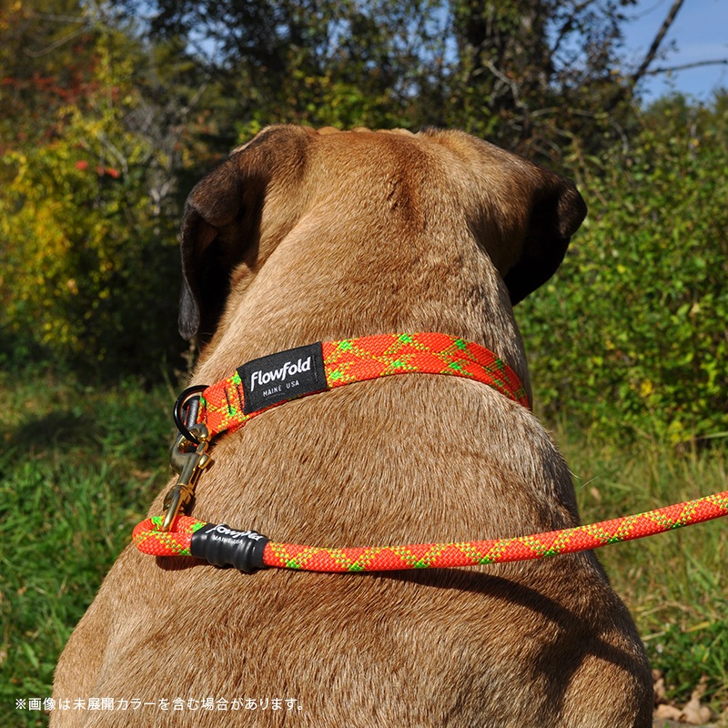 եե/Flowfold Recycled Climbing Rope - 6ft Dog Leash ꥵ륯饤ߥ󥰥סåեȡɥå꡼