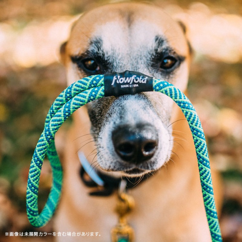 եե/Flowfold Recycled Climbing Rope - 6ft Dog Leash ꥵ륯饤ߥ󥰥סåեȡɥå꡼