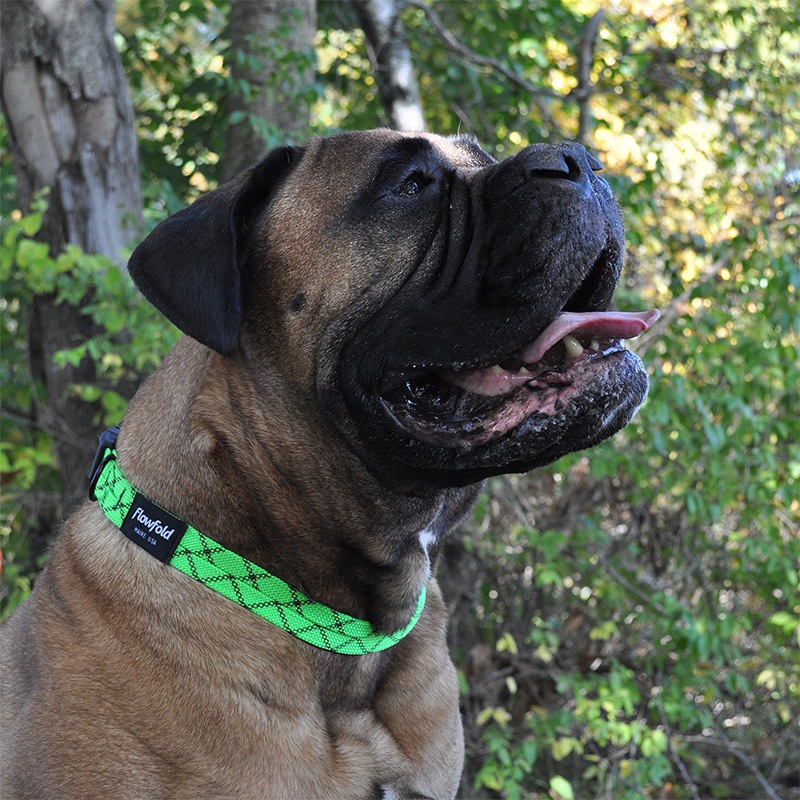 եե/Flowfold Recycled Rope Dog Collar - Large ꥵ ɥå顼 顼