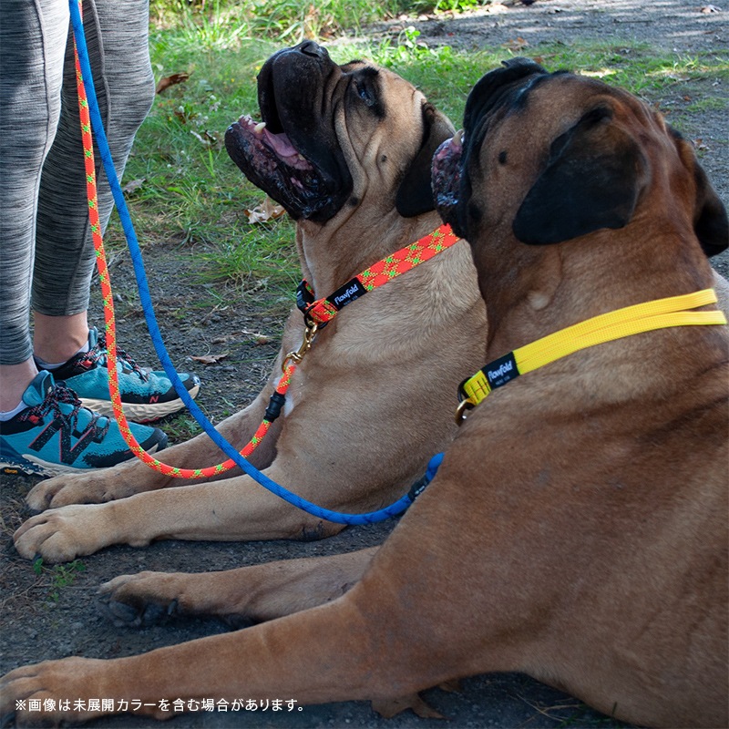 եե/Flowfold Recycled Rope Dog Collar - Large ꥵ ɥå顼 顼