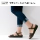 50%OFFۥ륳ڥǥ饷å饤 SHARPʥ㡼ס եȷ̥ʡԲġ