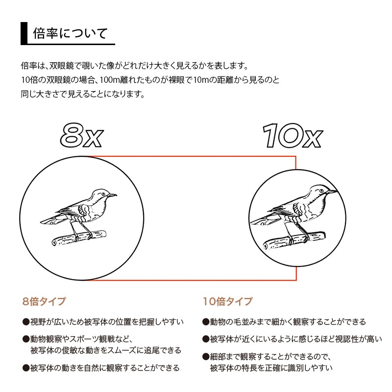 Υåץ/Nocs Provisions STANDARD ISSUE 8X25 WATERPROOF BINOCULARS (ɥ塼)д