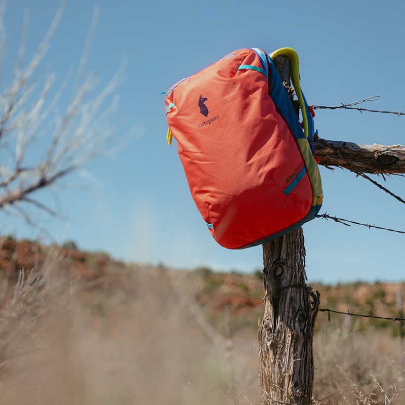 ȥѥ/Cotopaxi Allpa 35L Travel Pack Del Dia ( 35L ȥ٥ѥå ǥǥ)Хåѥå
