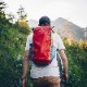 ȥѥ/Cotopaxi Batac 16L Backpack Del Dia (Хå 16L Хåѥå ǥǥ)åå