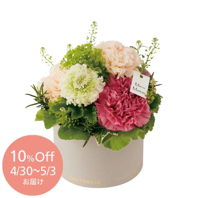 早期割 10%OFF【母の日】カーネーションのBOXアレンジメント｜4/30～5/3お届け