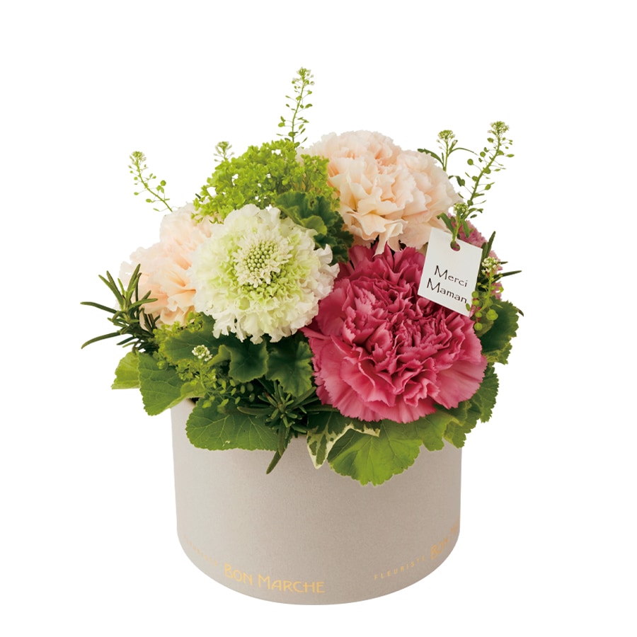 【母の日】カーネーションのBOXアレンジメント｜5/7～10お届け
