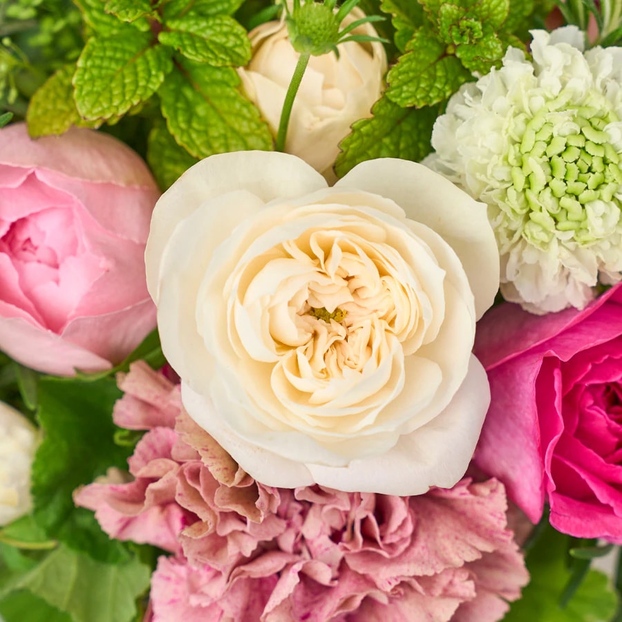 【母の日】増田バラ園のフレグランスローズとカーネーションのBOXアレンジメント｜5/7～10お届け