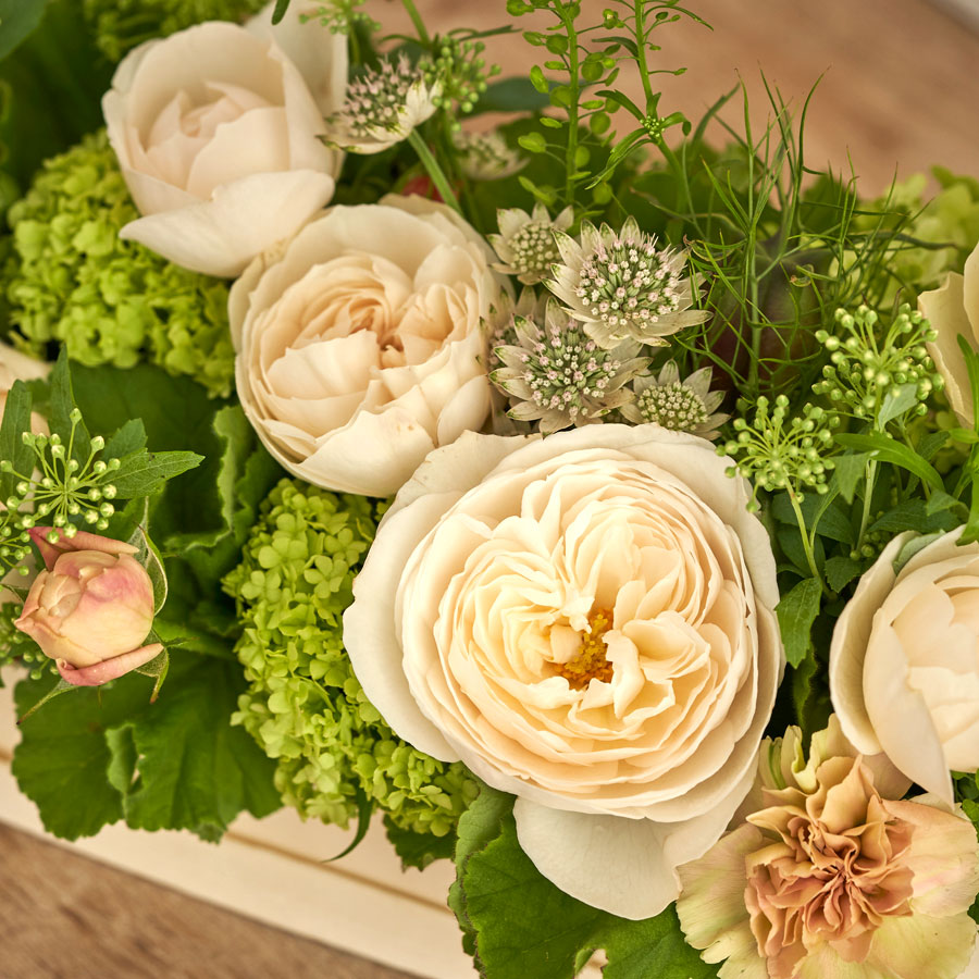 季節のバラのアレンジメント｜White