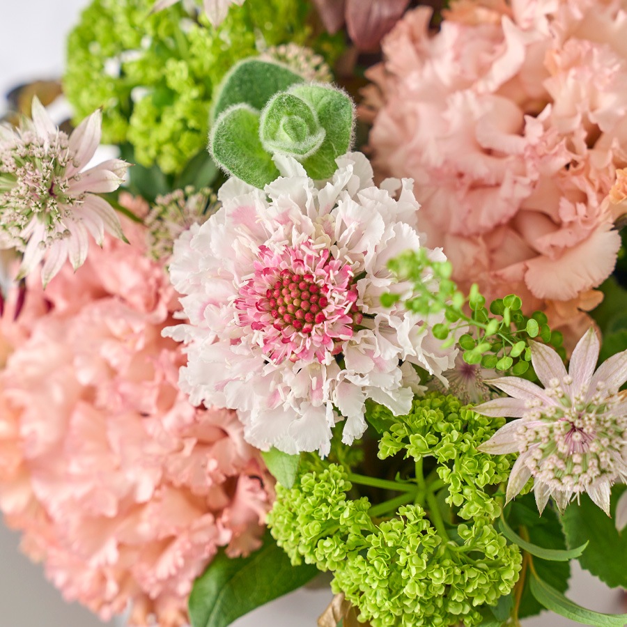 季節のアレンジメント｜Pink