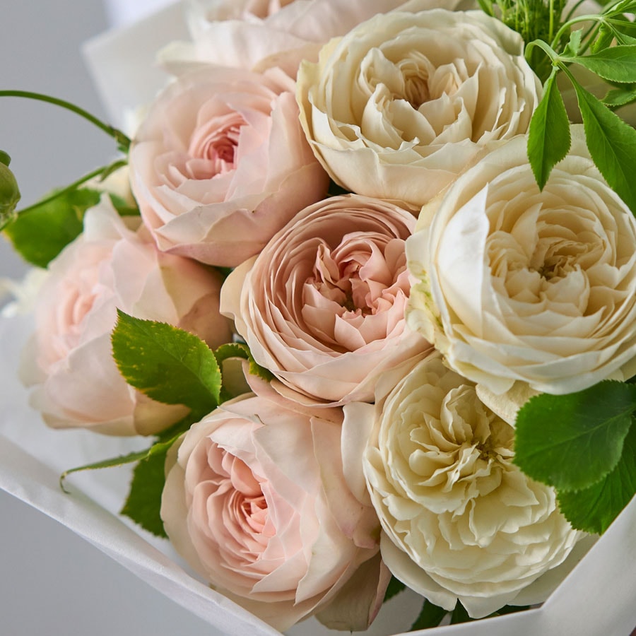 ロゼドリュヌのフレグランスブーケ｜M｜増田バラ園