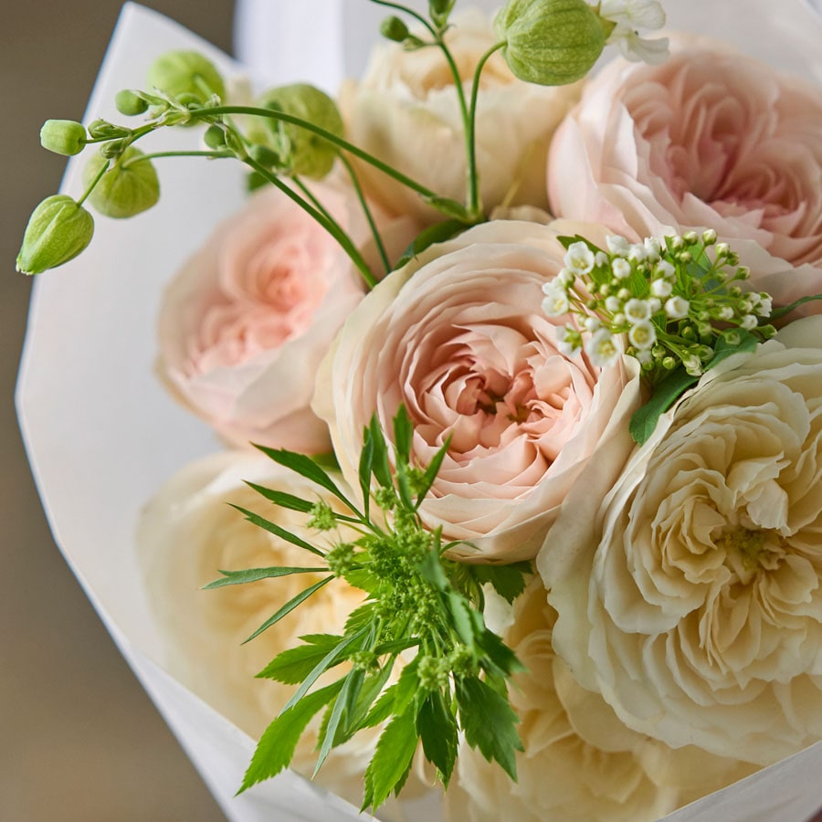 ロゼドリュヌのフレグランスブーケ｜S｜増田バラ園 | すべての商品