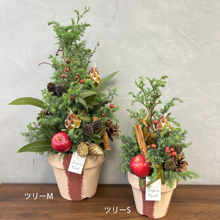 クリスマスツリーアレンジメント｜S