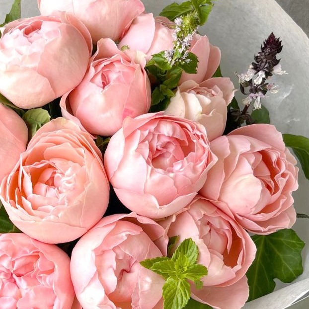 20本のバラのブーケ｜Pink｜愛妻の日や記念日に