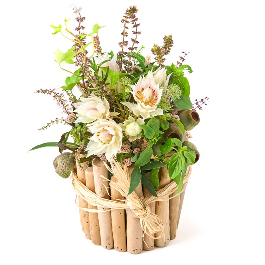 セルリアとハーブのアレンジメント New Arrival Br H2 お誕生日祝いや開店 周年のお祝いに 秋色のアレンジメントやブーケ H2 フルーリストボンマルシェ オンラインショップ セルリアとハーブのアレンジメント New Arrival Br H2 お誕生日祝いや開店 周年のお祝いに 秋色のアレンジメントやブーケ H2 フルーリストボンマルシェ オンラインショップ