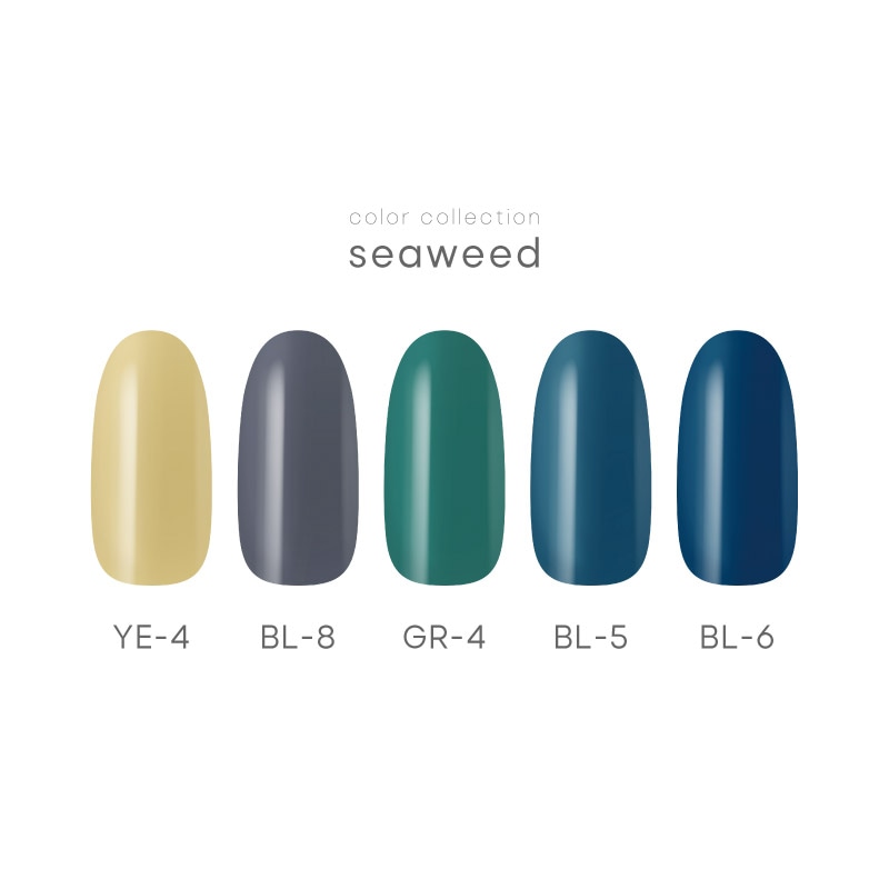 TRINA color collection seaweed