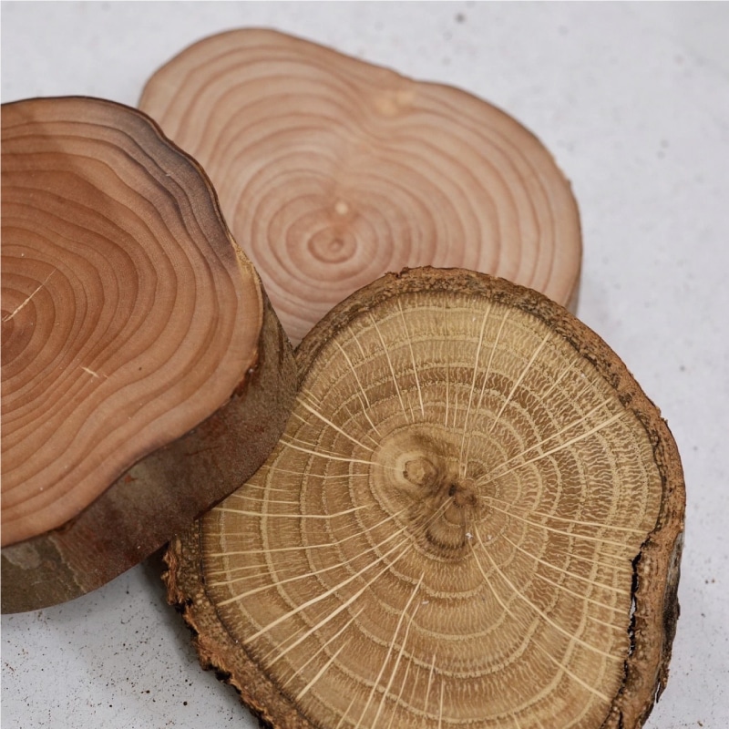 ビッキアトリエ　コースター 砂澤ビッキ 丹頂鶴 コースター(音威子府） - メルカリ