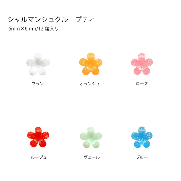 Bonnail×RieNofujiシャルマンシュクル プティ