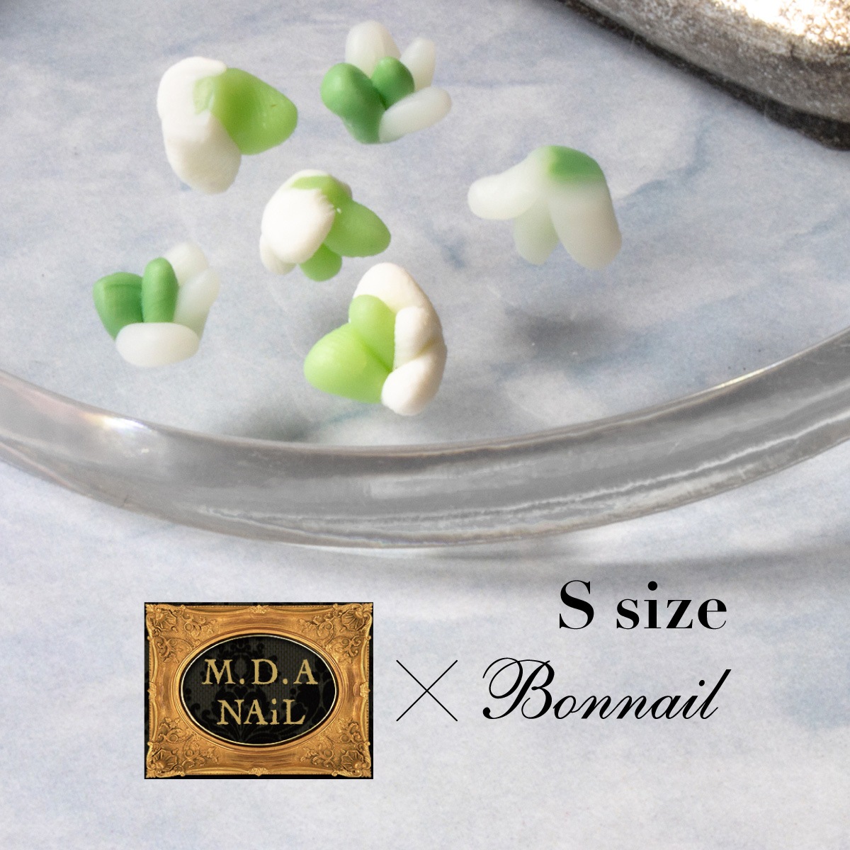 Bonnail×MDANail 多肉ちゃんarizona plants S