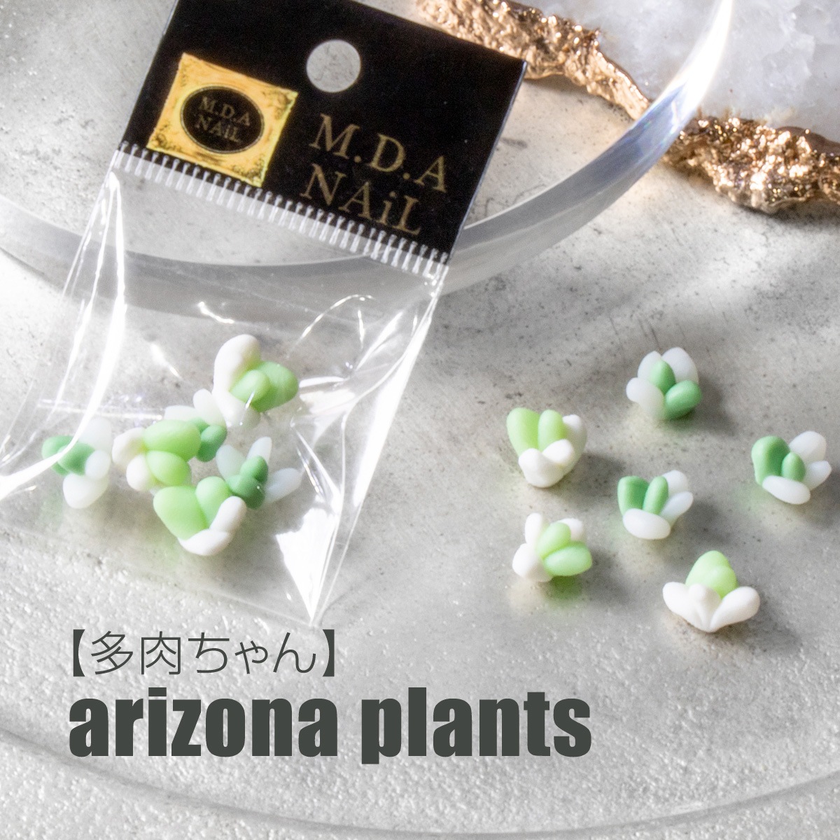 Bonnail×MDANail 多肉ちゃんarizona plants S