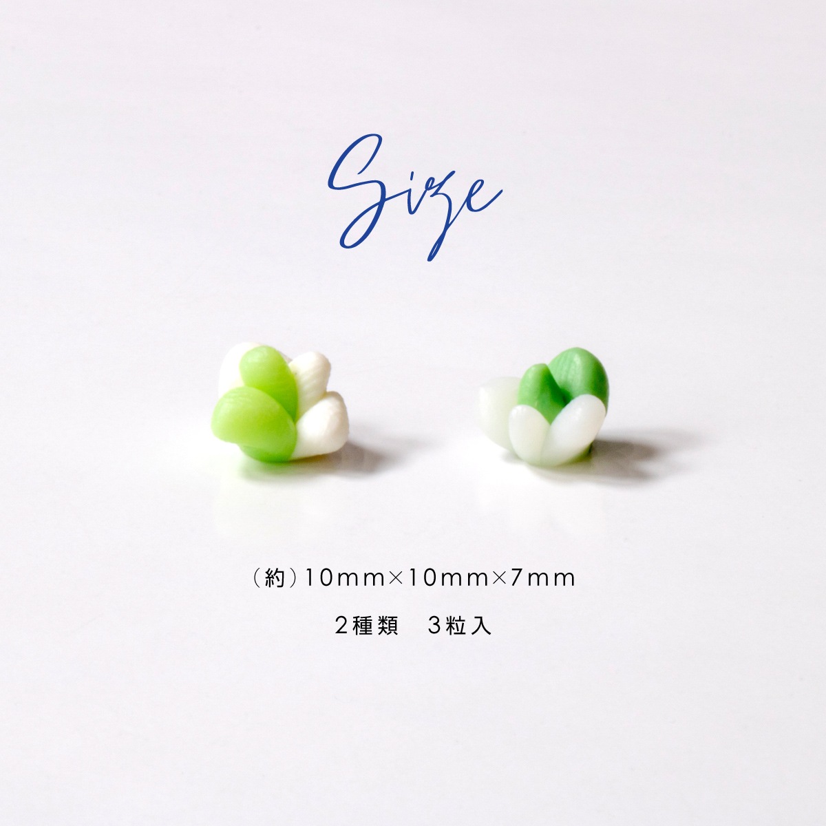 Bonnail×MDANail 多肉ちゃんarizona plants S