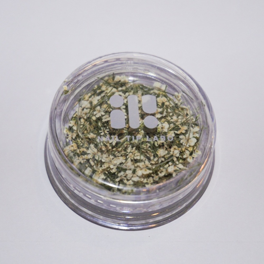 NAIL TIP LABO ドライフラワー ピュアホワイト 