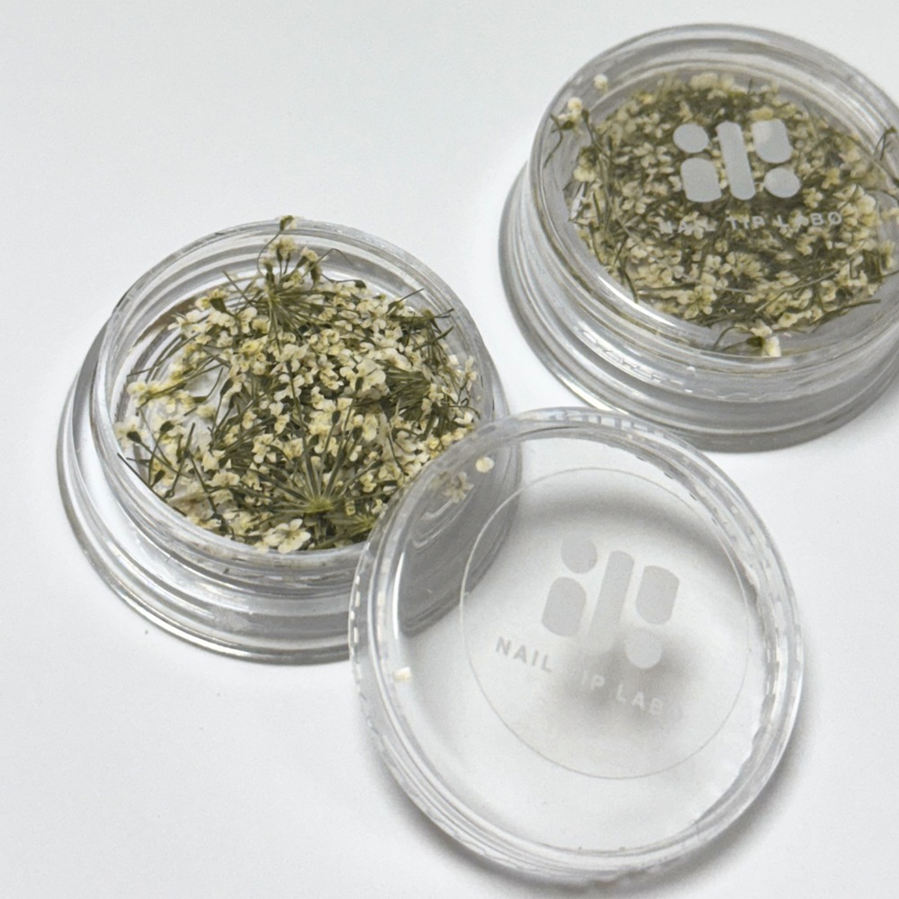 NAIL TIP LABO ドライフラワー ピュアホワイト 