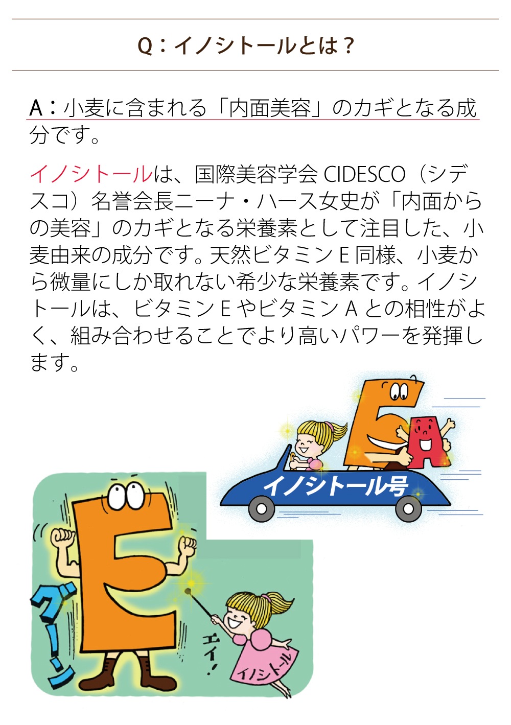 【1,000円クーポン対象】6/23(月)9:59まで【まとめ買い・ポイントアップ対象商品★1800円分】「ビューティキャップ１８０粒入り」抗酸化作用・冷えや花粉が気になる方へ ビタミンＥ ビタミンＡ イノシトール 送料無料