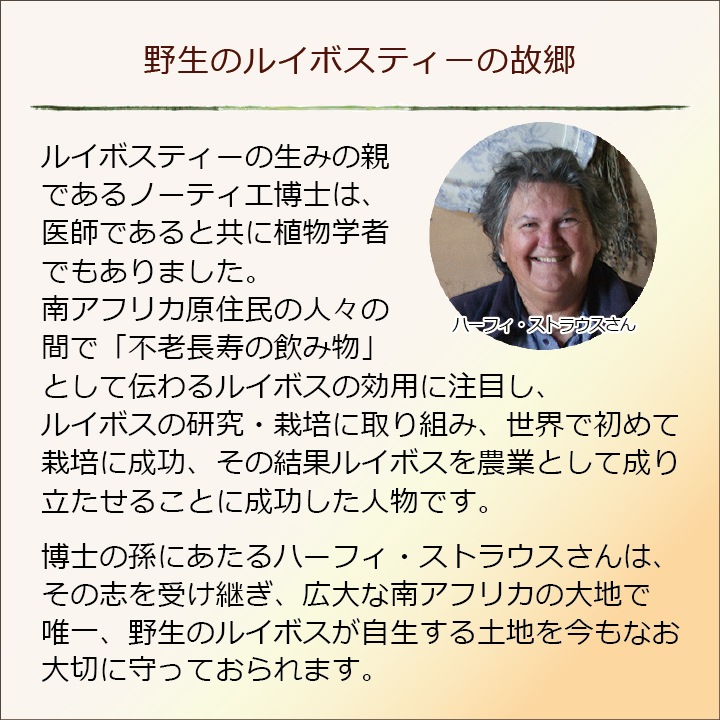【2袋以上で送料無料】「野生ロイボス」 (3.5g×30包) 1.8Ｌ用(煮出し) ノンカフェイン 無農薬 天然 無添加 無香料 ティーバッグ 野生 ルイボスティー rooibos 南アフリカの大自然が育んだ、天然ミネラルたっぷり、野生のルイボスティー。貴重な自生茶葉を100％使用
