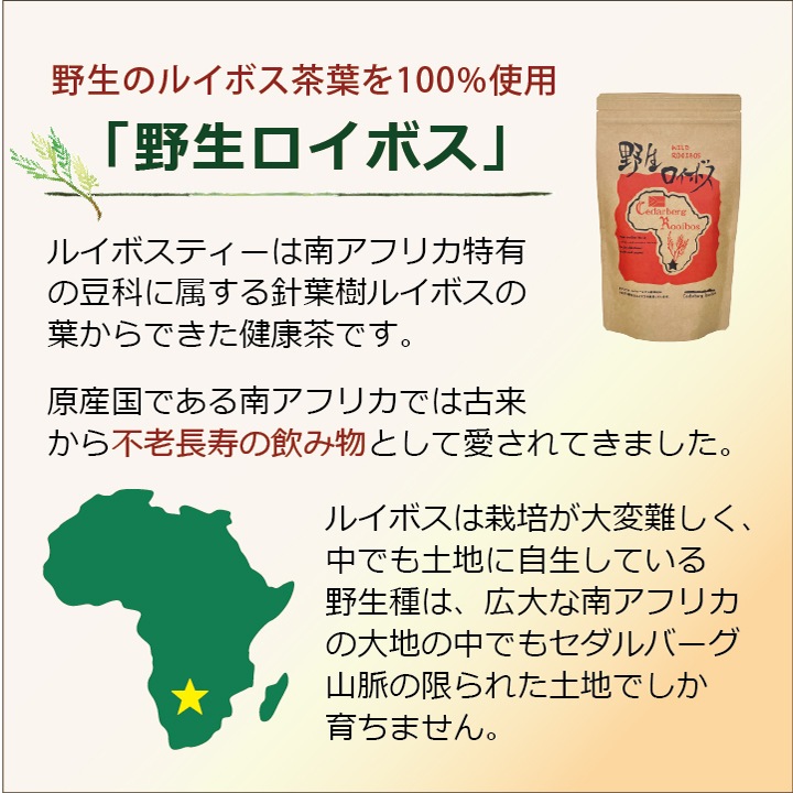 送料無料「野生ロイボス」３袋 90包 1.8Ｌ用(煮出し) ノンカフェイン 無農薬 天然 無添加 無香料 ティーバッグ 野生 ルイボスティー rooibos 南アフリカの大自然が育んだ、天然ミネラルたっぷり、野生のルイボスティー 貴重な自生茶葉を100％使用