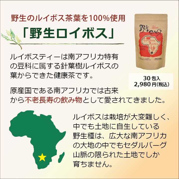 送料無料「野生ロイボス」５袋 150包 1.8Ｌ用(煮出し) ノンカフェイン 無農薬 天然 無添加 無香料 ティーバッグ 野生 ルイボスティー rooibos 南アフリカの大自然が育んだ、天然ミネラルたっぷり、野生のルイボスティー 貴重な自生茶葉を100％使用