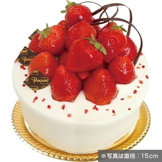 ��ŹƬ�����16.�ץ�ߥ������Υǥ��졼����� | ľ��:15cm�������ޤ�ͽ���ǽ��