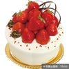 ��ŹƬ�����16.�ץ�ߥ������Υǥ��졼����� | ľ��:18cm�������ޤ�ͽ���ǽ��