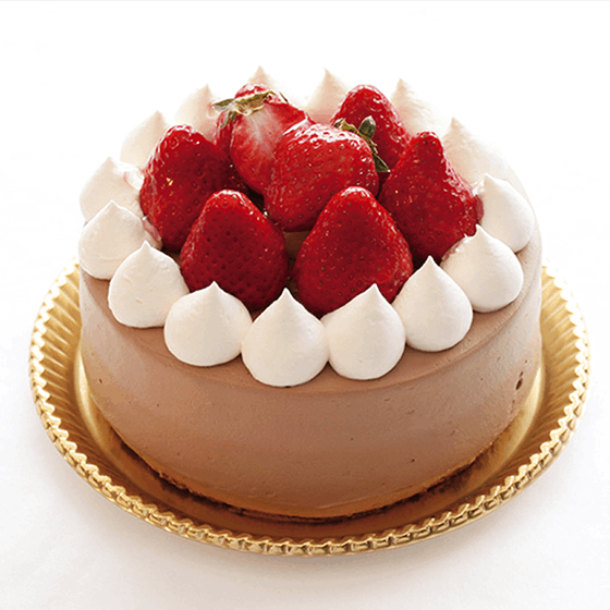 ŹƬ2.祳ǥ졼󥱡| ľ:24cm3ޤͽǽ