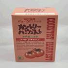 有機トマトケチャップミニパック（お弁当用）|ケチャップ|調味料（味付）