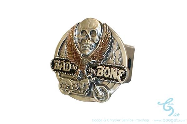 BAD to the BONE ҥåС