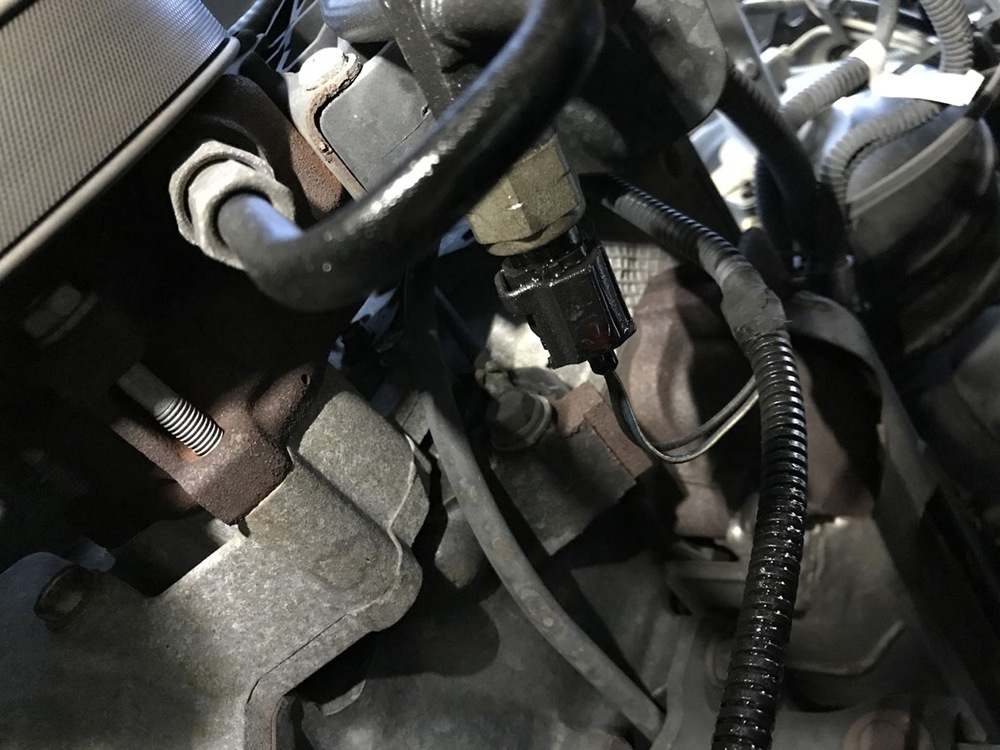 ڽۥѥ凉ƥץå㡼󥵡 ȥå 03y05y