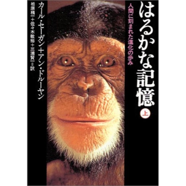 はるかな記憶(上)