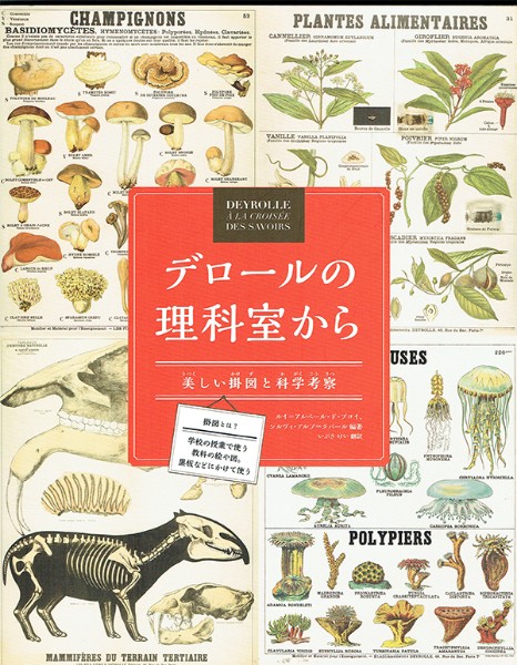 デロールの理科室から