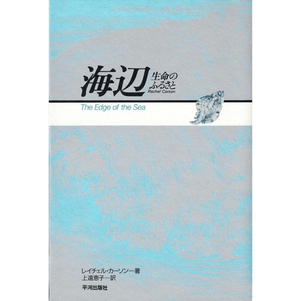 海辺