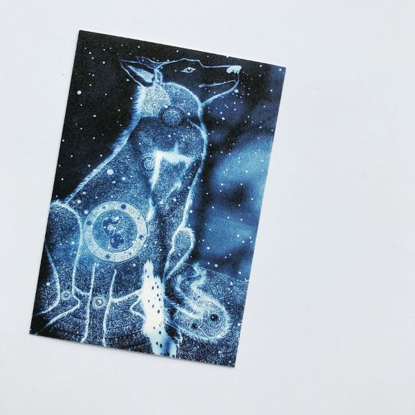 ポストカード　nociw