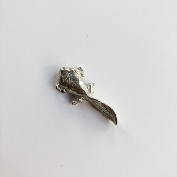 ポケットコイン　オタマジャクシ