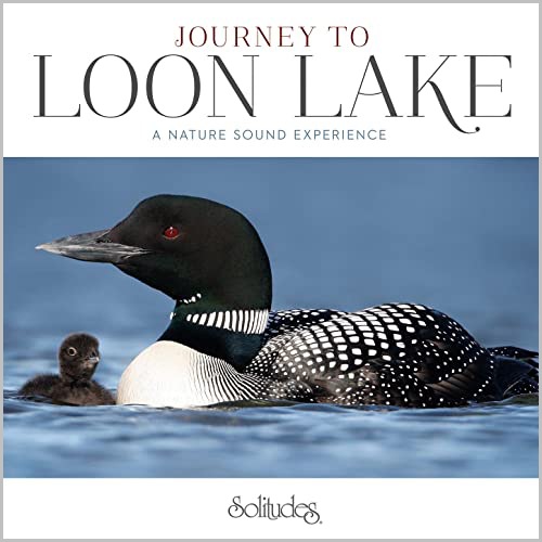 CD JOURNEY TO LOON LAKE