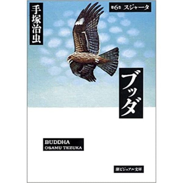ブッダ 6 (ビジュアル文庫)