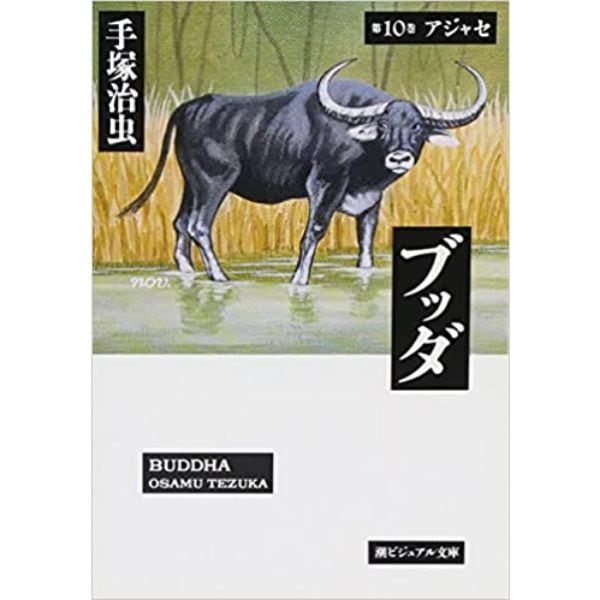 ブッダ 10 (ビジュアル文庫)